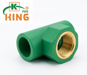 مشترك بسن داخلى محبس دفن